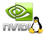 Nvidia Logo